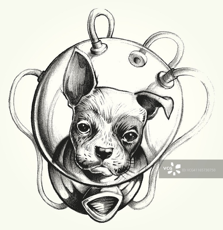 太空狗宇航员图片素材