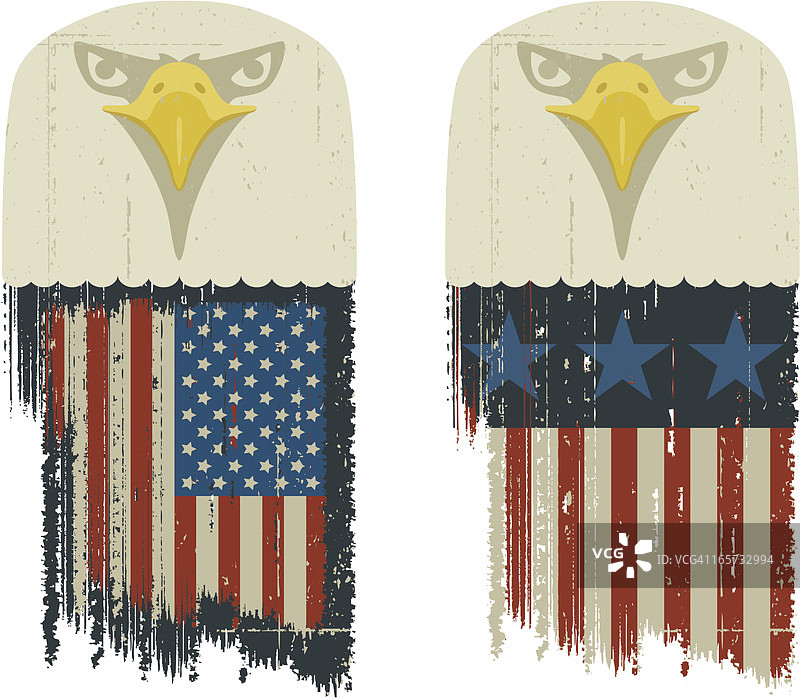 美国秃鹰图片素材