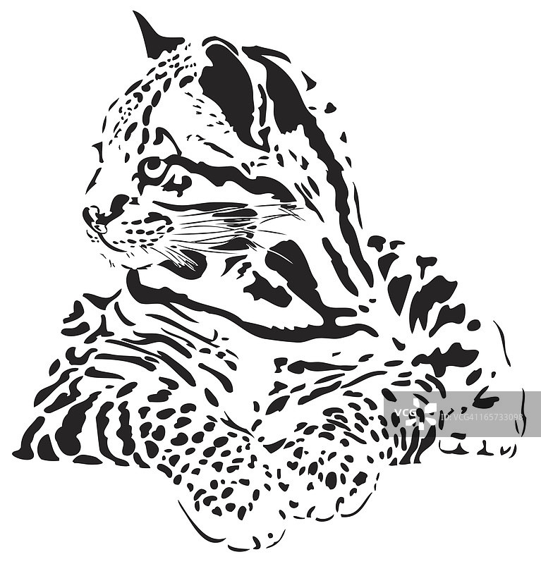 虎猫插画图片素材