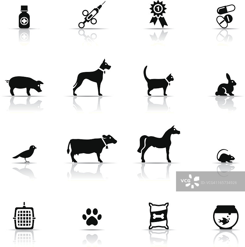 兽医图标集图片素材
