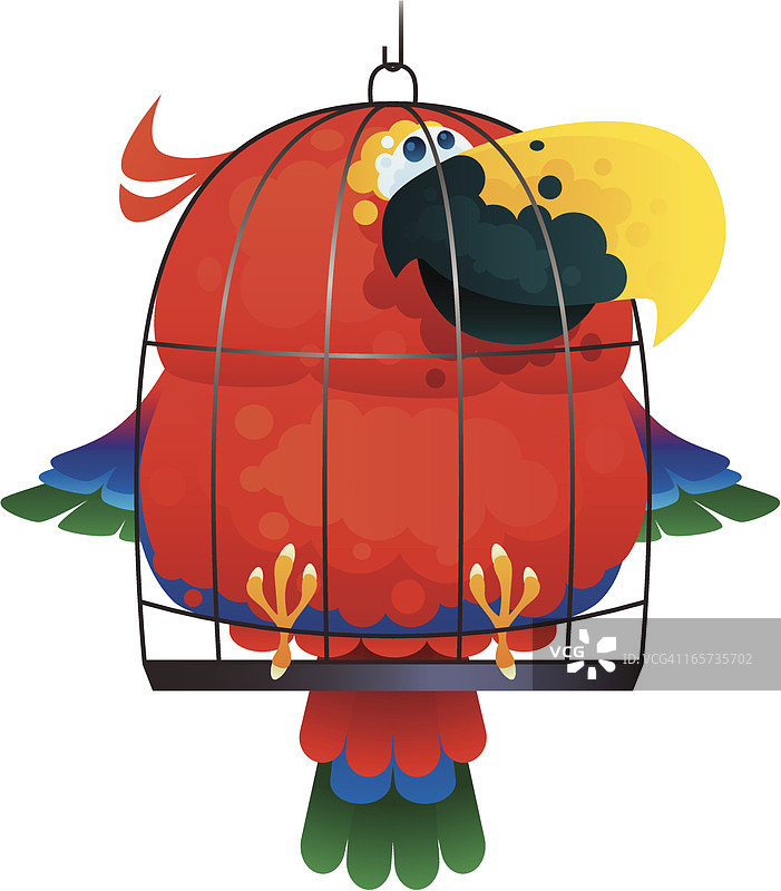 肥胖的鹦鹉图片素材