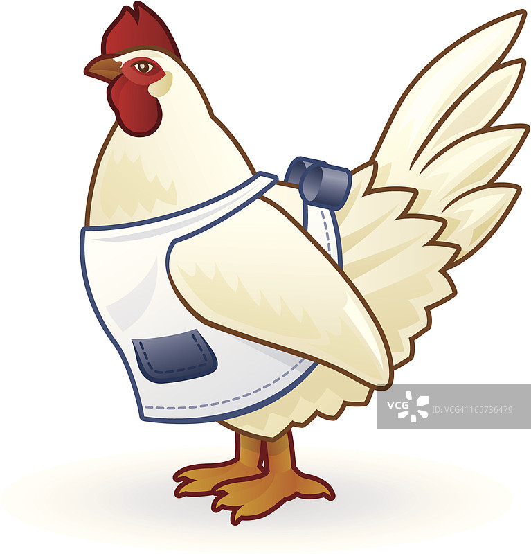 厨房里的鸡图片素材