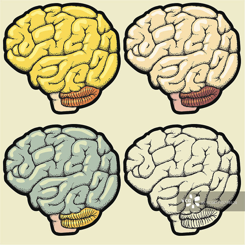 手绘大脑插图素材图片素材