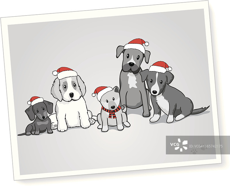 戴着圣诞帽的狗图片素材