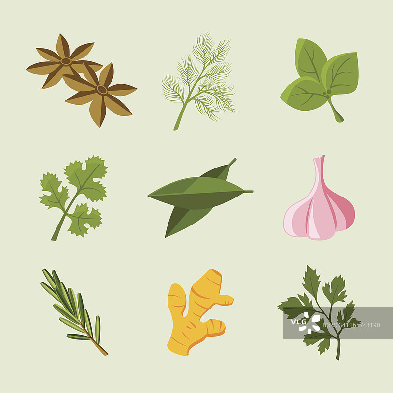 香草和香料图标集图片素材