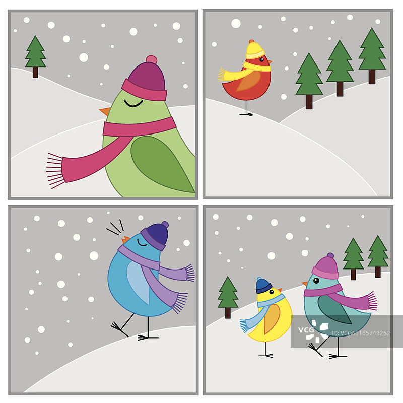 冬季的鸟图片素材