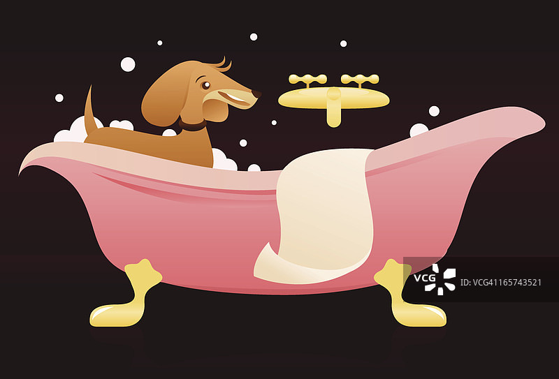 狗狗洗澡图片素材