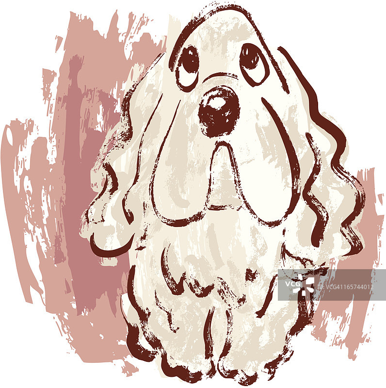 可卡犬图片素材