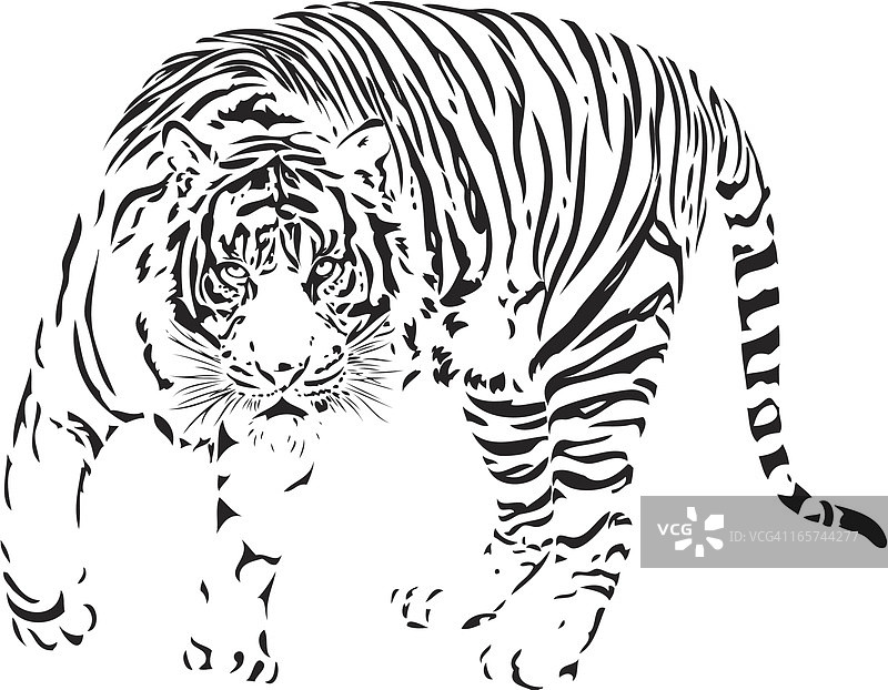 黑色线条老虎插画图片素材