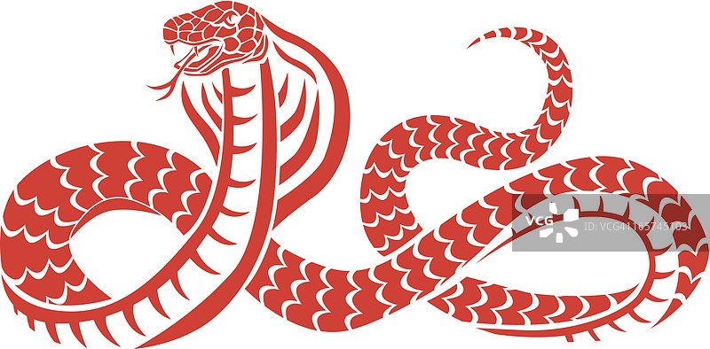 眼镜蛇图片素材