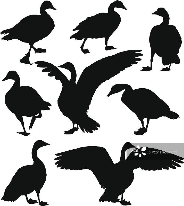 鹅剪影图片素材