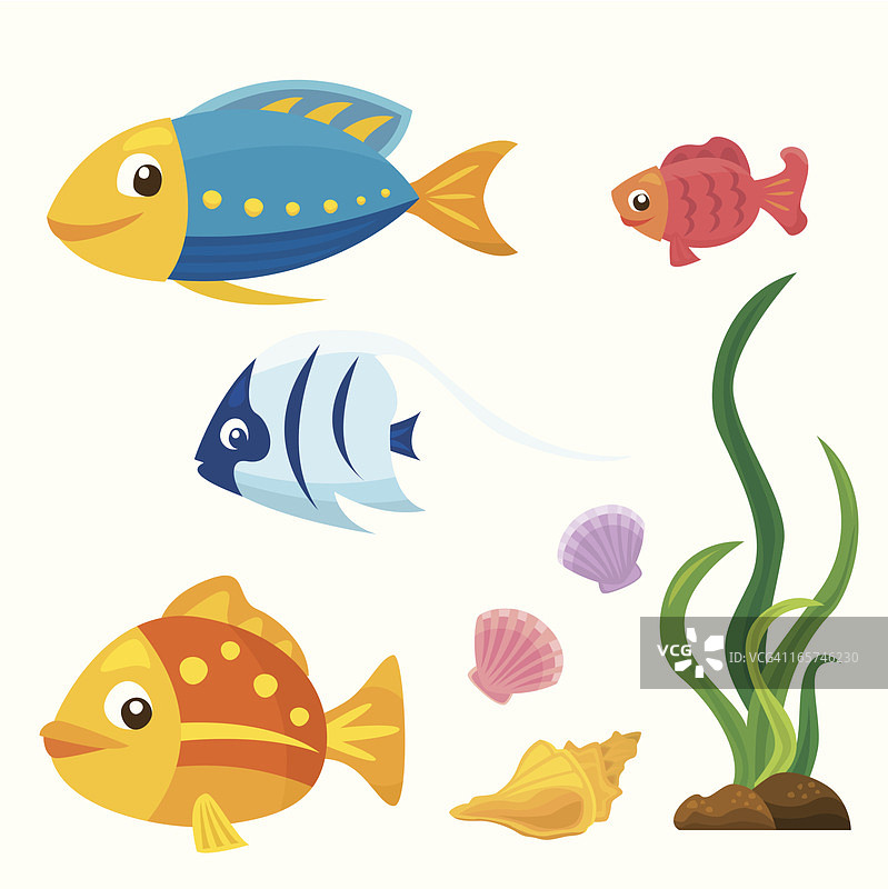 海洋的鱼图片素材