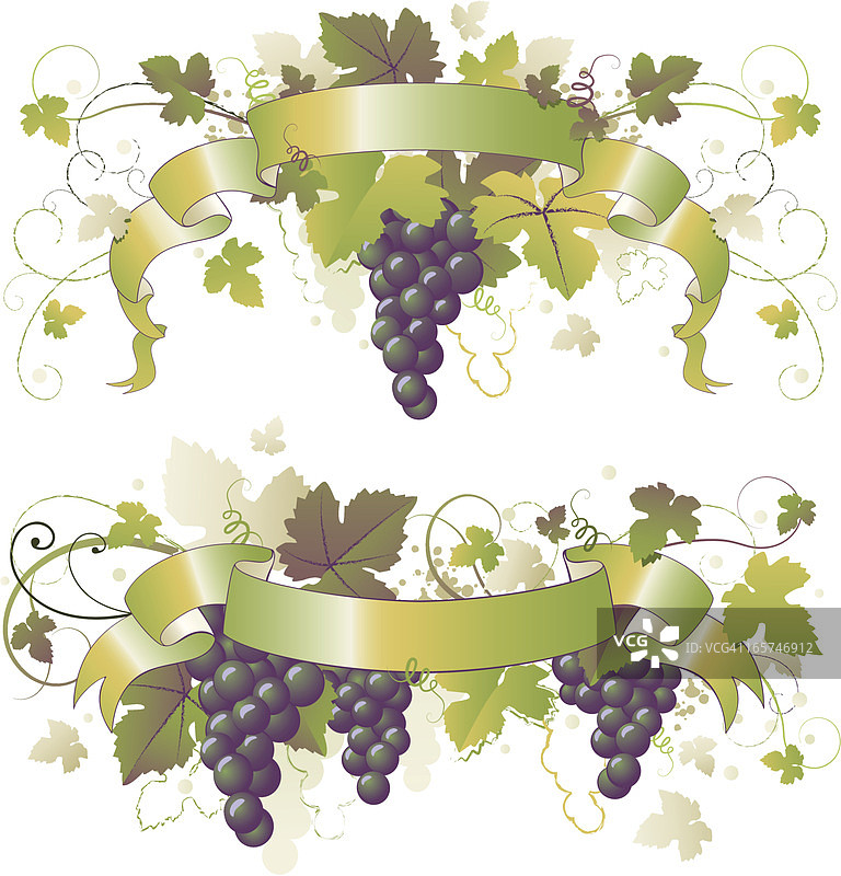 蓝色葡萄藤丝带图片素材