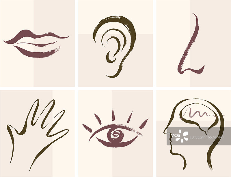 感官图标图片素材