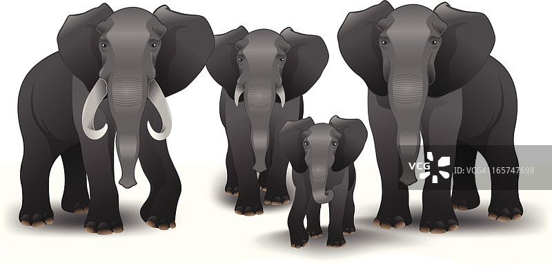 大象家族图片素材
