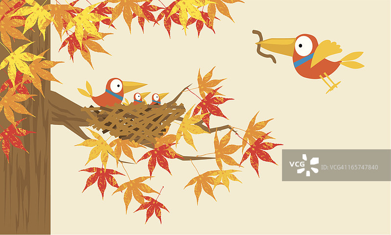 秋树上的鸟巢图片素材