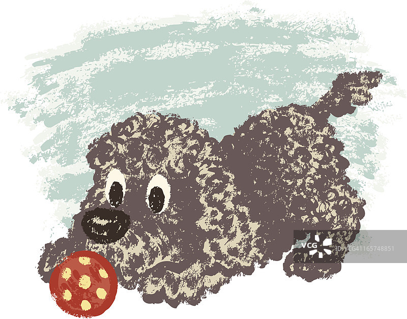 葡萄牙水犬和球图片素材