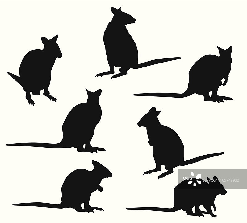 小袋鼠矢量剪影图片素材