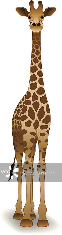 可爱的长颈鹿插画图片素材