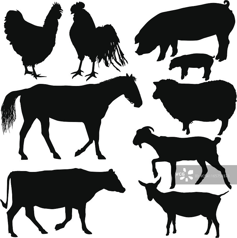 农场动物剪影图片素材