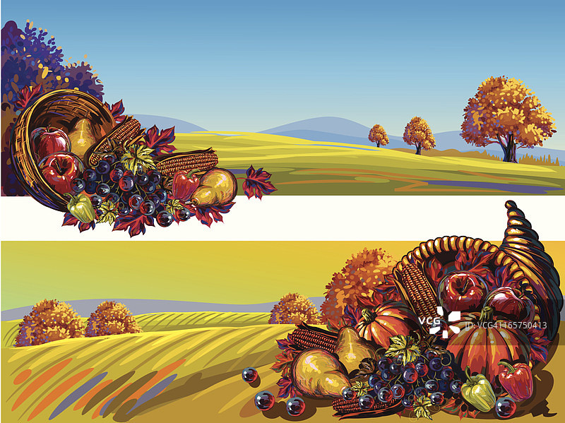 美丽的秋季/感恩节背景图片素材