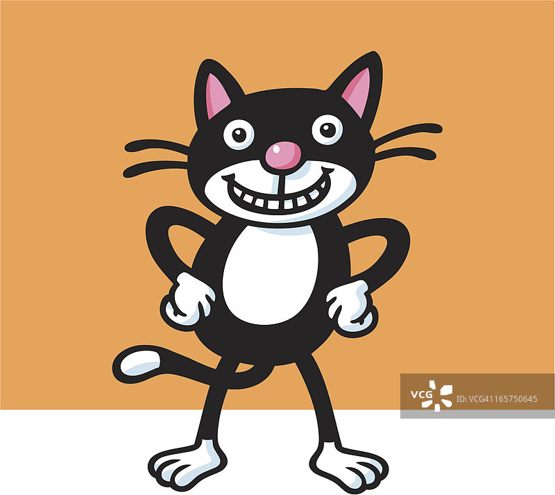 站立的酷猫图片素材