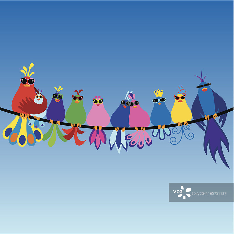 戴着太阳镜的鸟类家庭图片素材