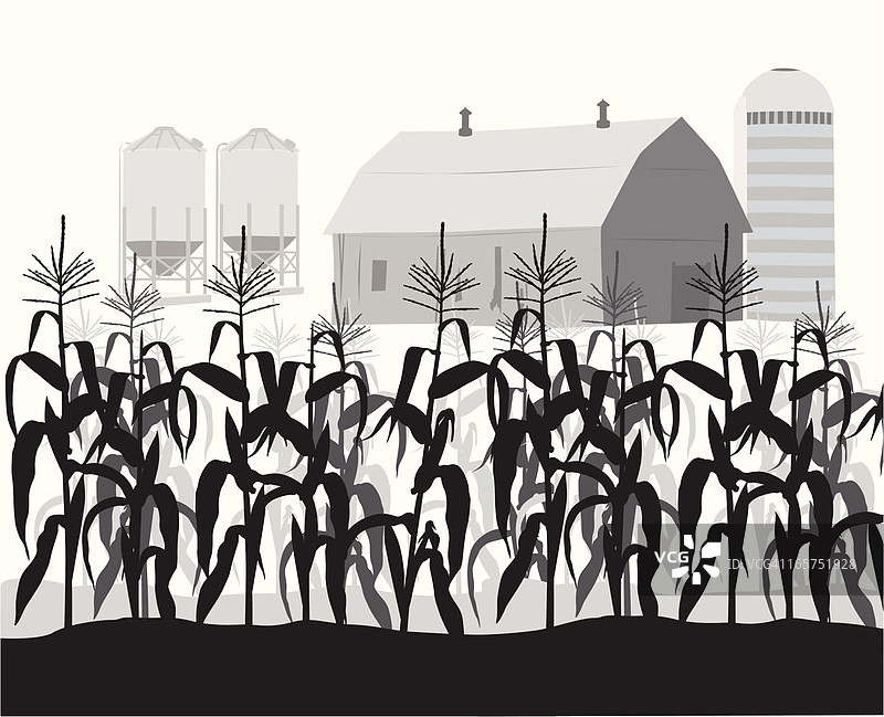 玉米地矢量剪影图片素材