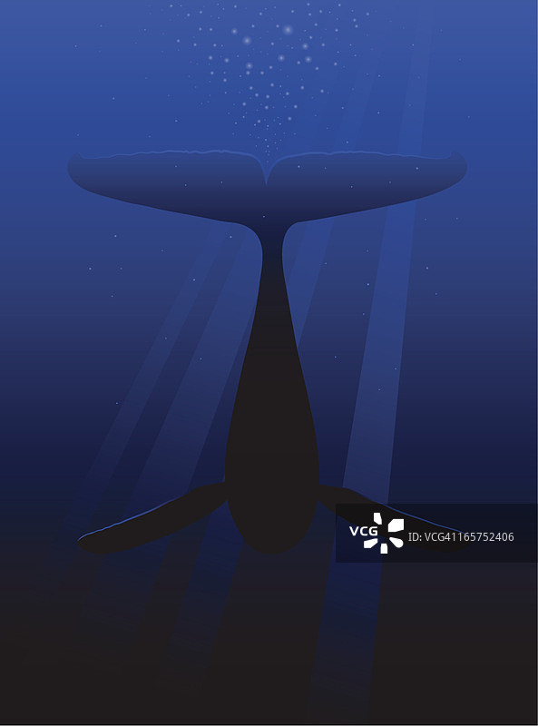 潜水鲸鱼图片素材