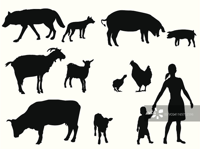 母熊和小熊图片素材