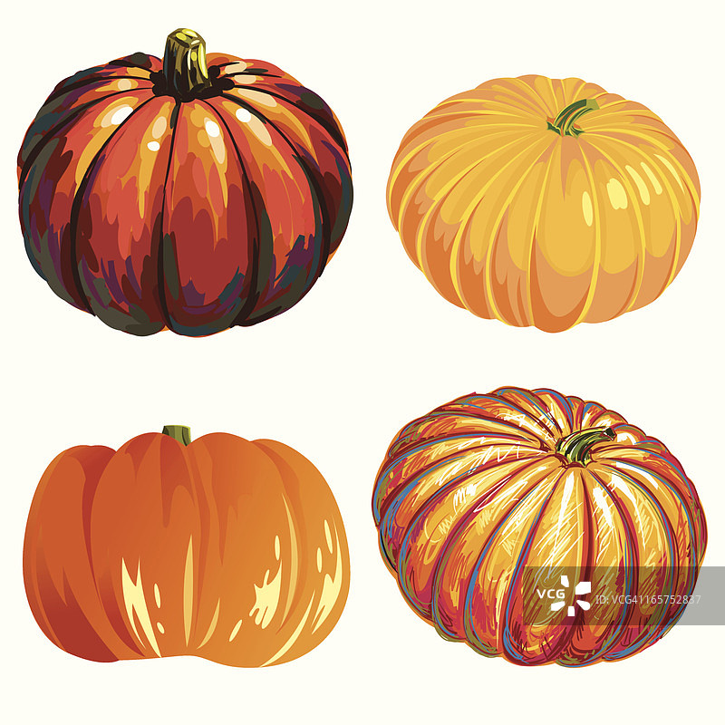 南瓜图片素材