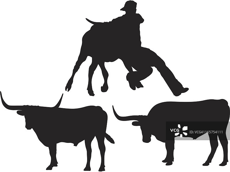 男人与长角公牛摔跤图片素材