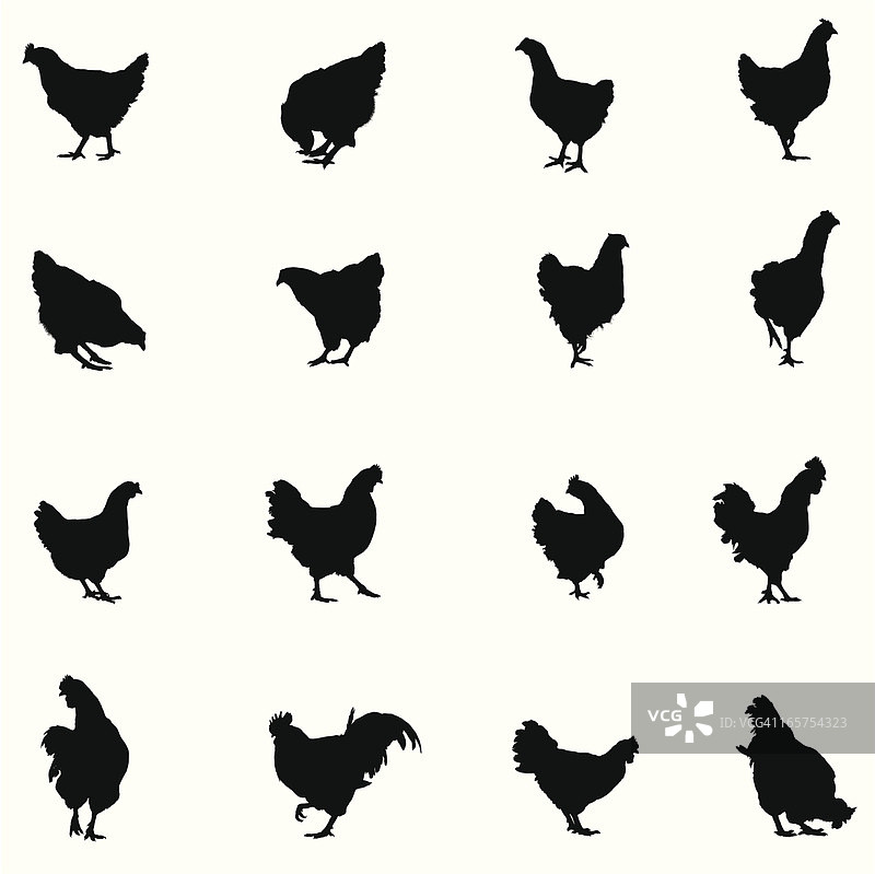 鸡和公鸡轮廓图片素材