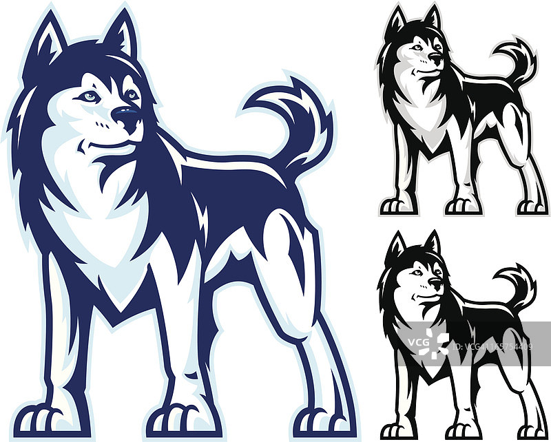 哈士奇的力量图片素材