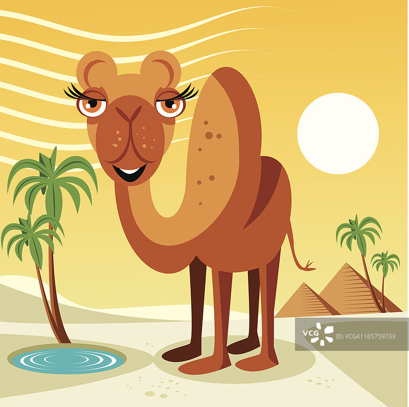骆驼图片素材