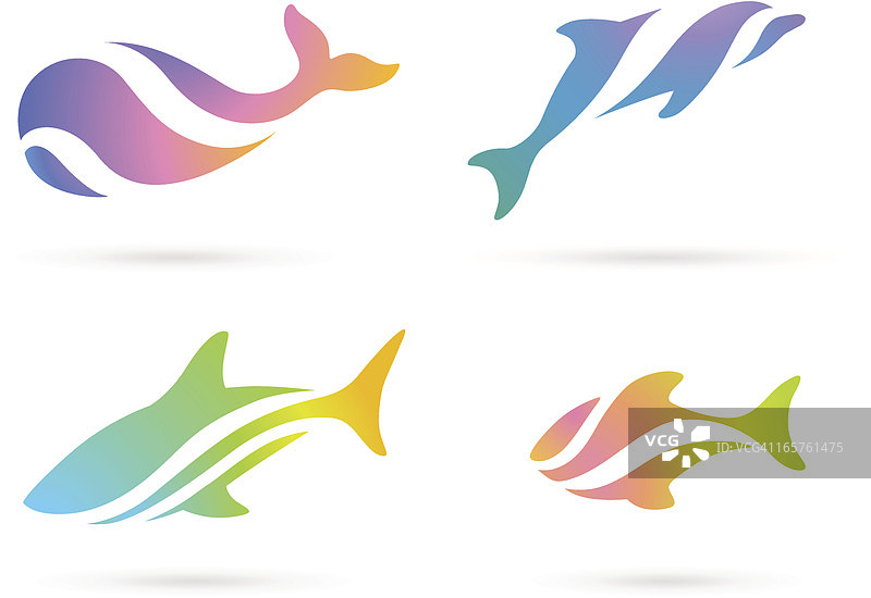 海洋鱼类合集图片素材