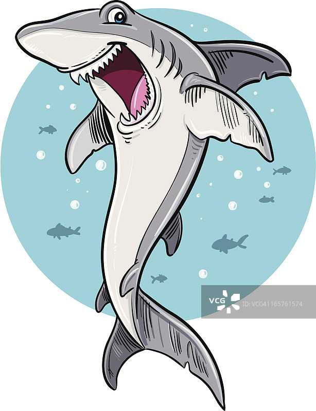 鲨鱼图片素材