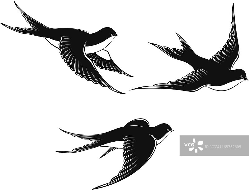 飞翔的燕子图片素材