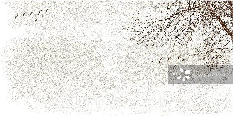 树木与鸟类的云景图片素材