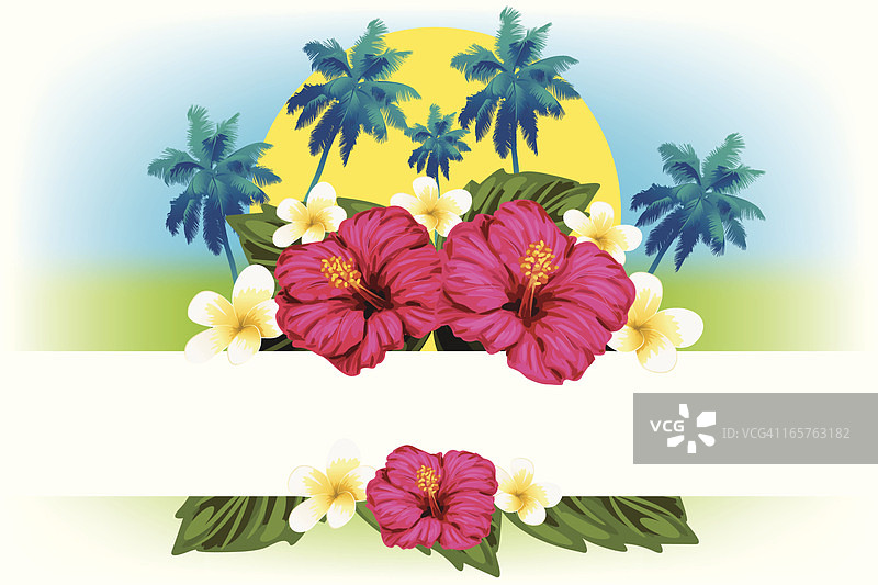 美丽的夏季背景图片素材