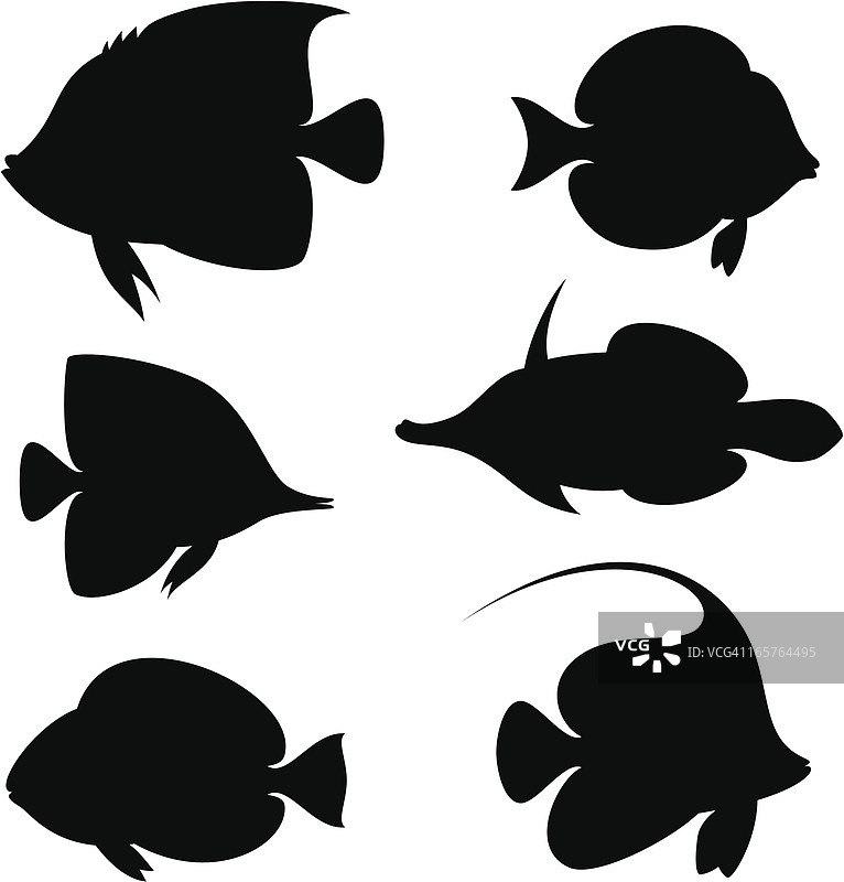 珊瑚鱼图片素材