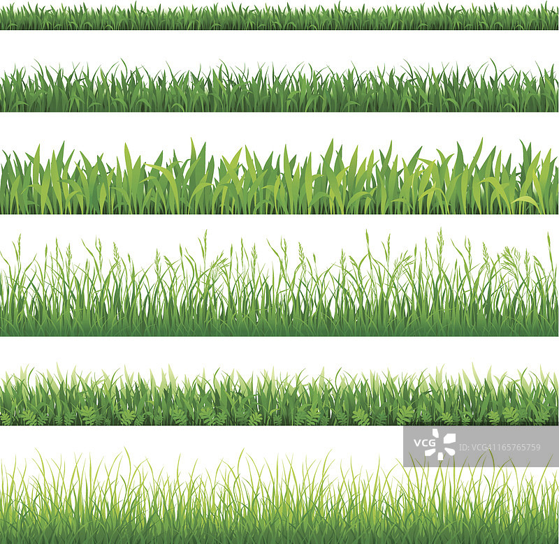 不同类型的绿草排列图片素材