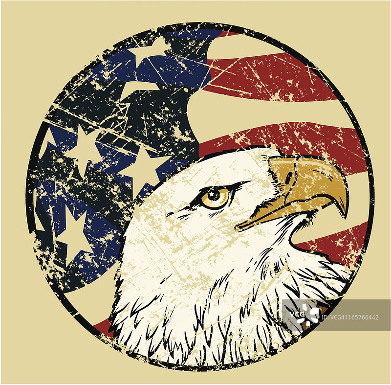 带有风化美国国旗背景的白头海雕图片素材