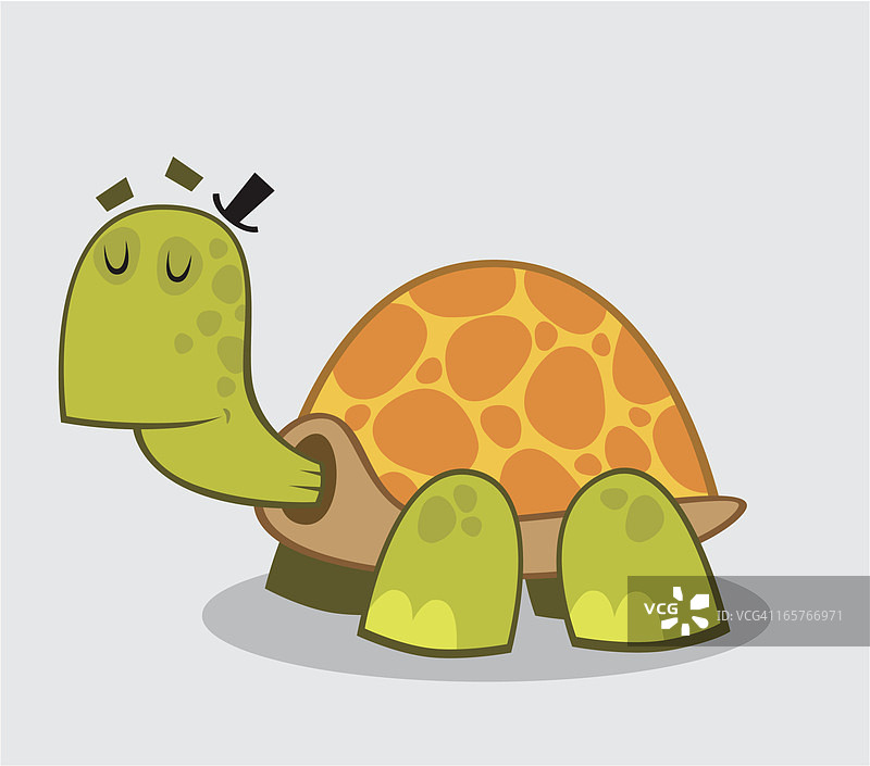 乌龟图片素材