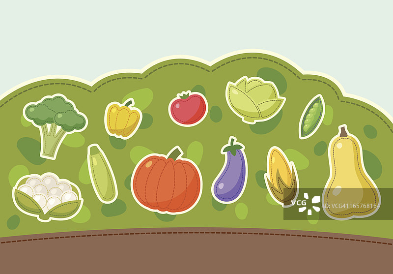 地里生长的蔬菜图片素材