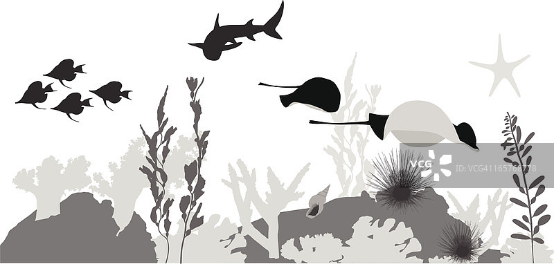 珊瑚礁矢量剪影图片素材