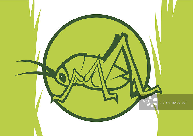 草丛中浅绿色螽斯剪贴画图片素材