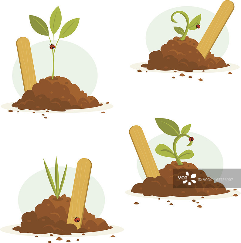 带标记的幼苗套装图片素材