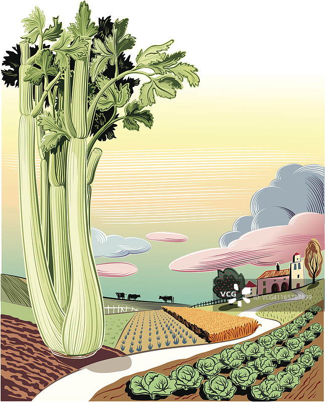 芹菜景观图片素材