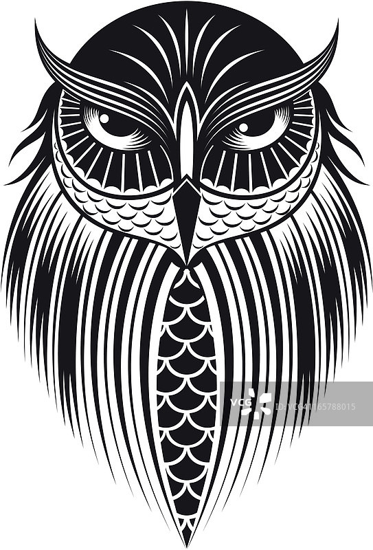 猫头鹰图片素材